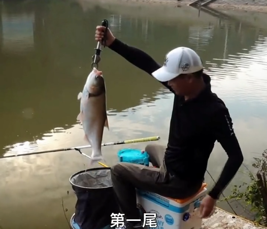 鲢鳙|邓刚到长沙钓鲢鳙，看上了老板养的小土狗，400钓6小时，差点滑了