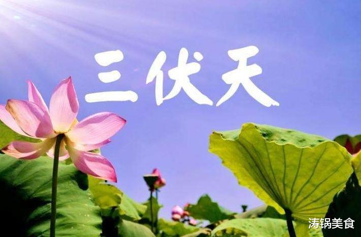 三伏天|三伏天最适合吃的减肥餐，“少吃2肉多吃2白”，营养美味还减脂!