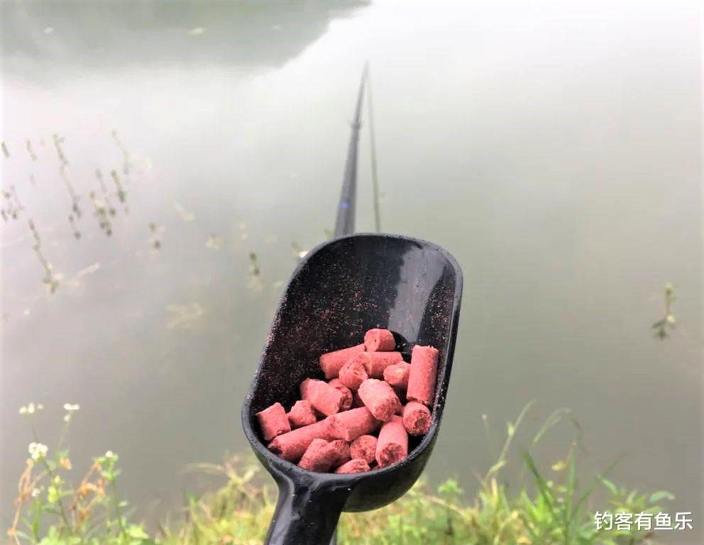 |冬季钓鱼怎样找鱼窝？找到了鱼窝，如何打窝比较好？