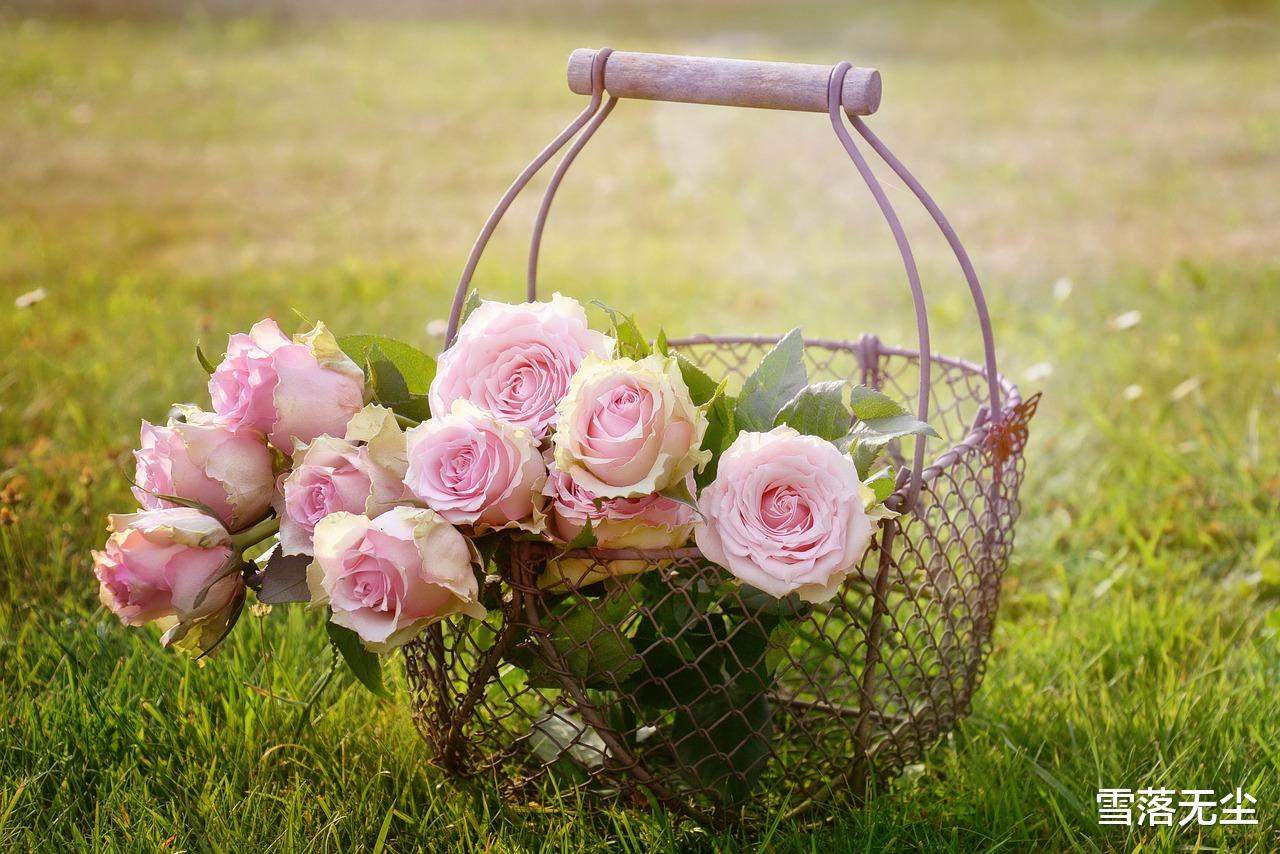 雪落无尘|3种“身边人”，看似亲近，其实早该断交了