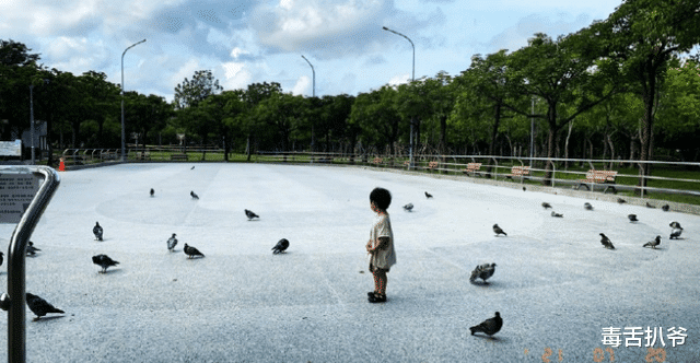 陈意涵|陈意涵宣布怀二胎，晒一家三口温馨同框照，儿子小初又萌又可爱！