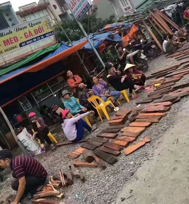 邮票年册|从论吨，到论斤、块、根，一去不返的“老红木”