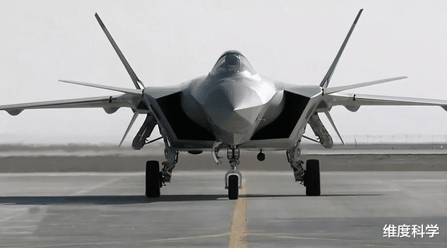 SpaceX 蜻蜓才是飞行界的“王者”！360度随意转向，还能飞过印度洋