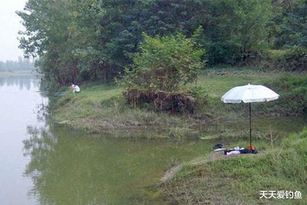 |仲秋钓鱼的变通之道：气温变化大，鱼情变数多，一成不变你就输了
