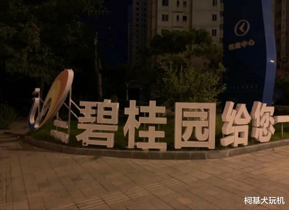 碧桂园|同样是欠债1万多亿，碧桂园活的好好的，为什么恒大就崩了？