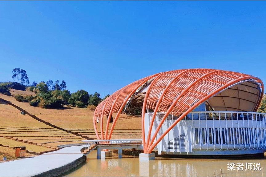 大学|洛阳一大学新专业备受争议，老师不合规，学生却有“钱途”？