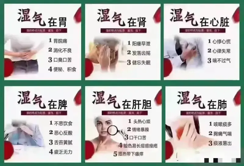 中成药|【身体湿气重,8种常用中成药,对照调养,便宜又好用】