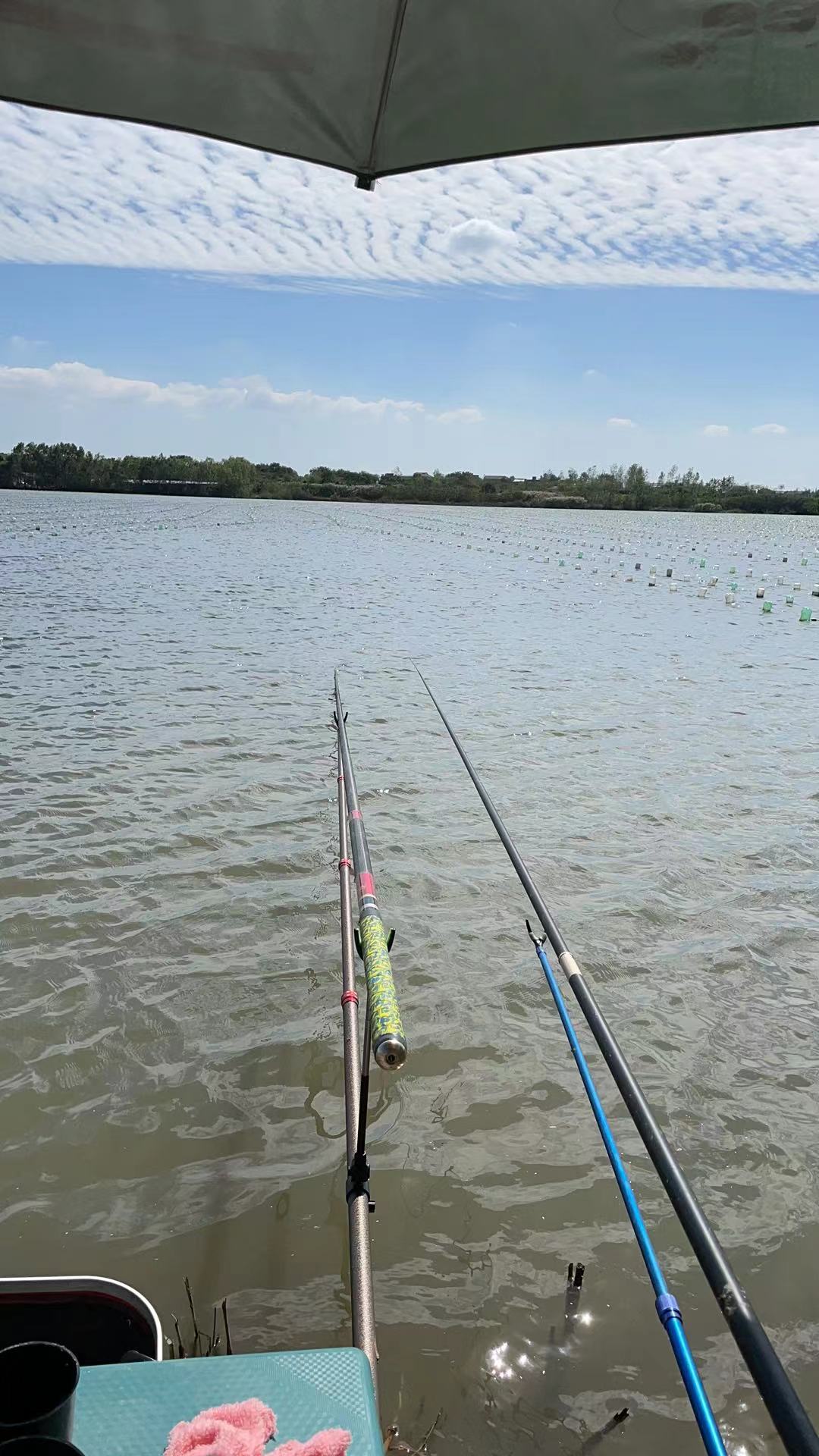 饵料|钓饵排第三，水深排第二，钓位排第一，秋季野钓这三点排序很重要