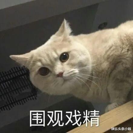 蒋雯丽|双双出轨!恩爱都是装的?