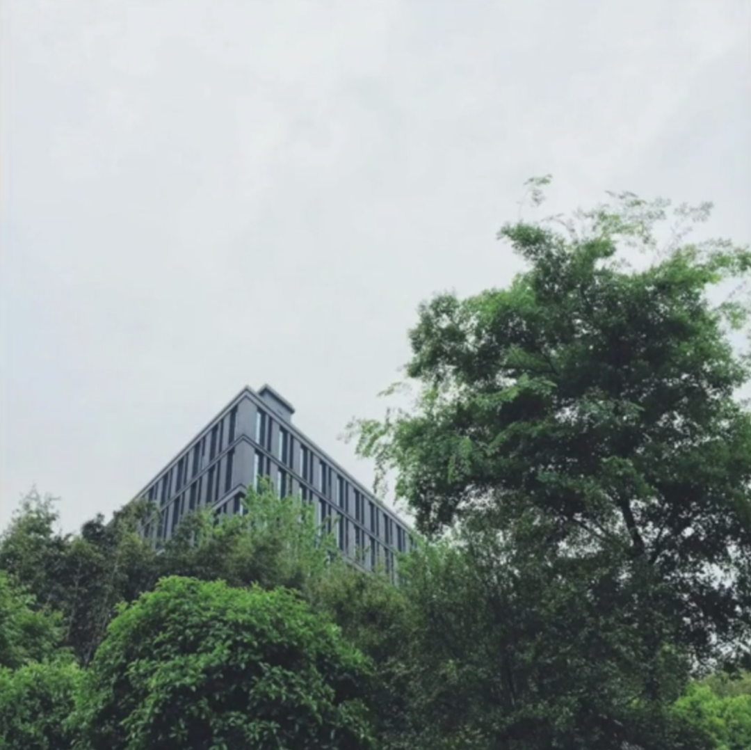 4张照片教你构图化繁为简!超实用!