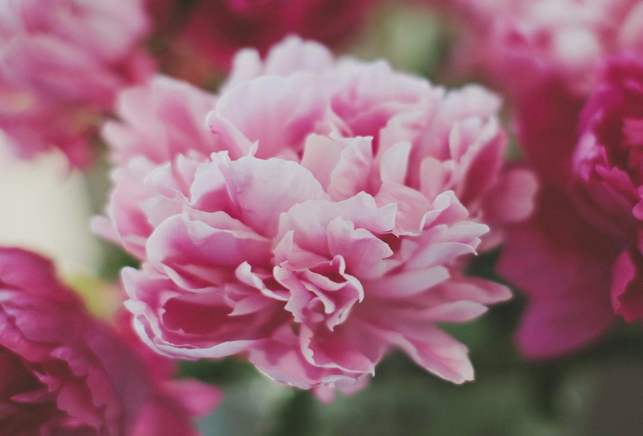 生肖|5月底，苦尽甘来，好运缠身，3生肖职场站稳脚跟，数钱数到手到软