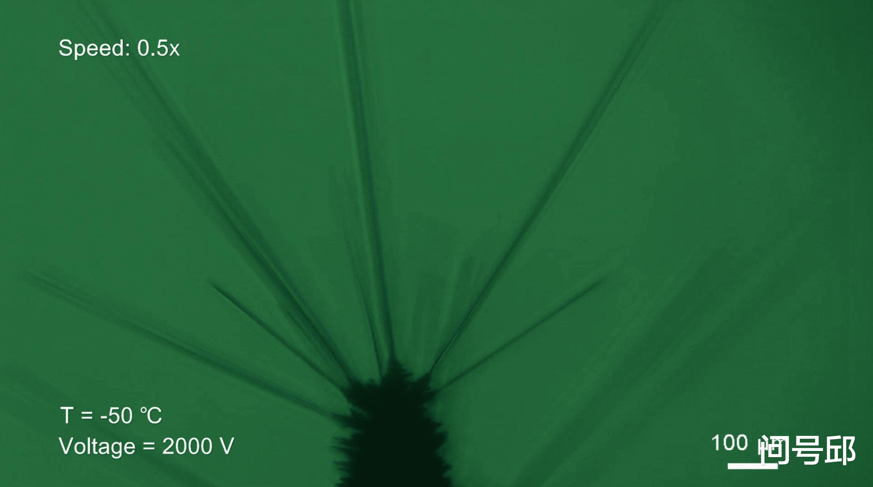 科学家 我国科学家们创造出了超级柔韧的冰，冰丝还能打造成光纤