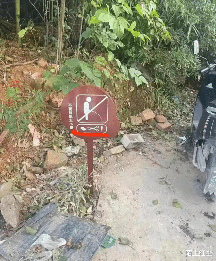 癌细胞: 我带着你奔向永生,结果你身体扛不住啊。