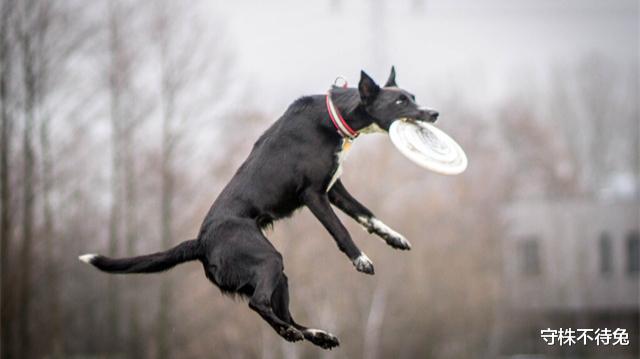  听起来多少有点问题，但实际上经过检验的21个奇怪冷知识