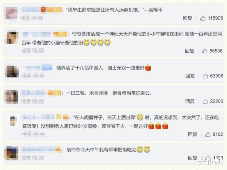 央视频 一稻济天下！“杂交水稻之父”袁隆平水稻之外的人生