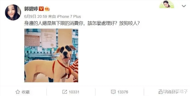 郭碧婷|郭碧婷你不爱向佐又干不过向太，干嘛嫁给他？你要如何全身而退？