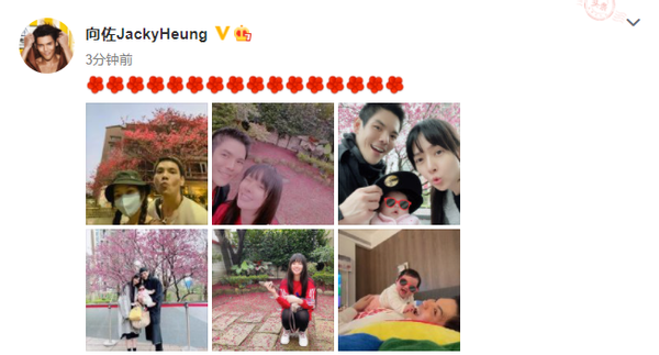 向佐|向佐情人节首晒全家福，女儿可爱出镜，小奶皇活泼爱笑神似向太
