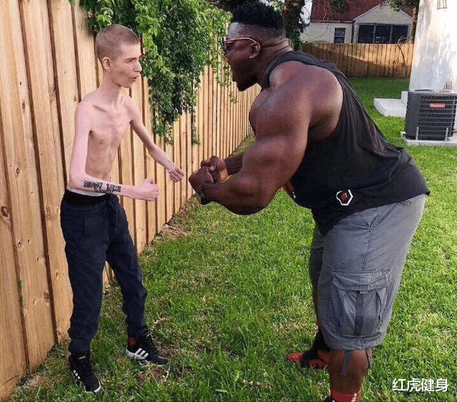 脂肪肝|经常健身的你,是小白还是精英?快来看看5大项的力量标准