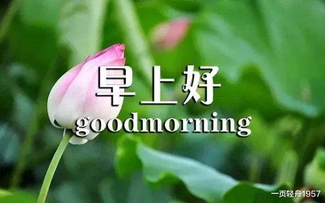 章子怡|章子怡的高级脸，王子文的杨柳腰，杨幂的大长腿，你也能够拥有