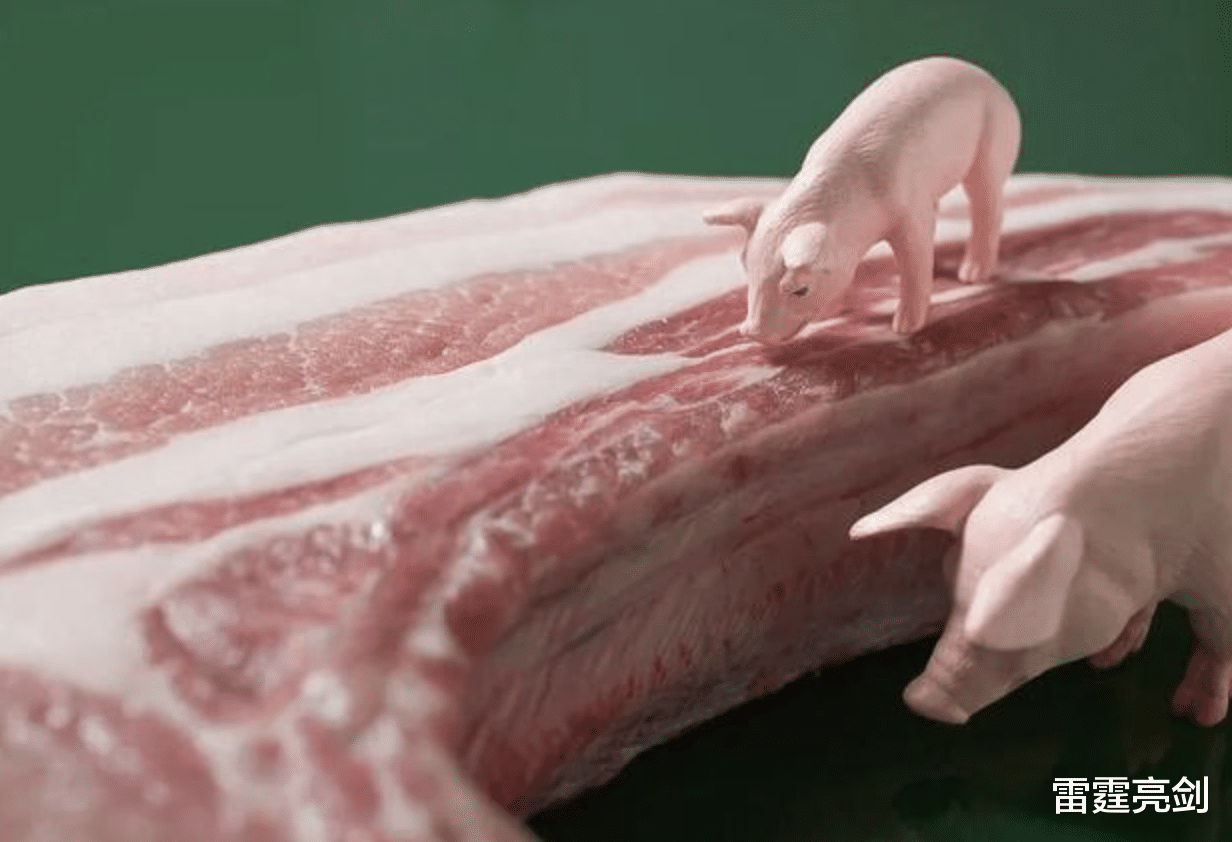 猪肉 猪肉价还能回到以前？跌29%后又迎好消息，中间究竟发生了什么？