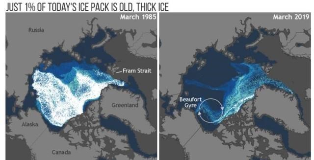 基因 北极“深坑”越来越大，释放大量远古气体，专家提醒世人要警惕