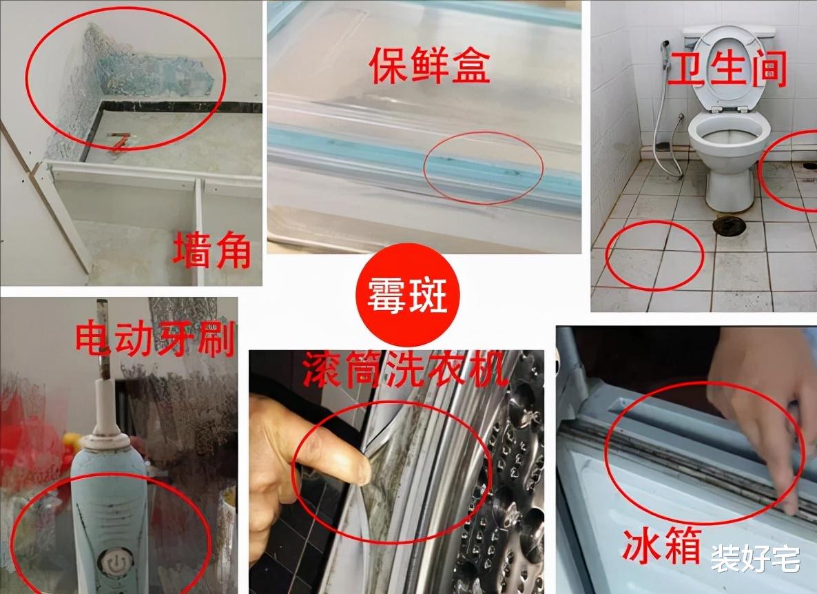 装好宅|超市里实打实的好物，地位却很“尴尬”，很少有人知道