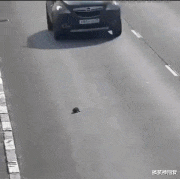 搞笑神回复|神回复:“对象教资面试没有过,我该怎么安慰她比较好?”哈哈!