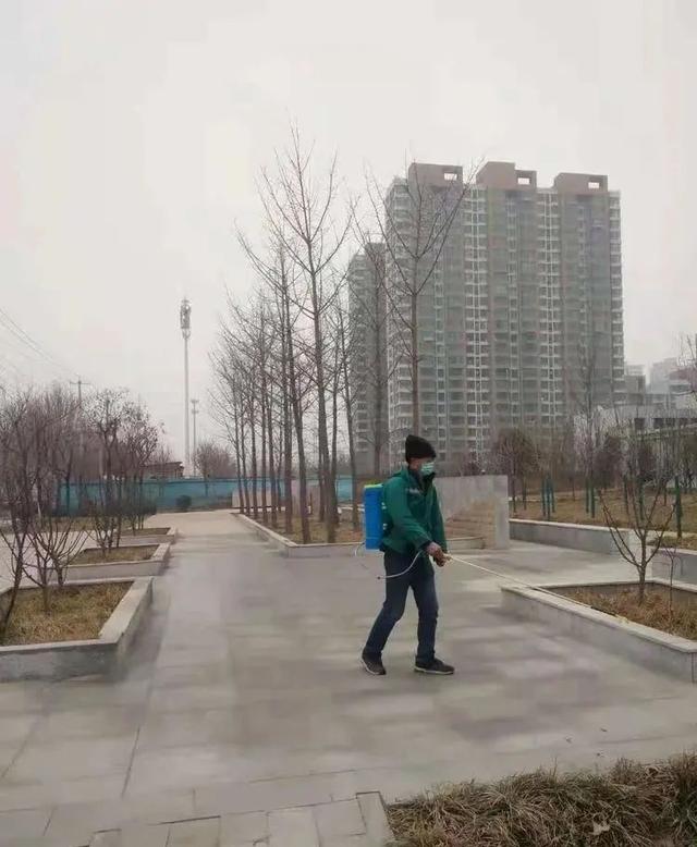 河北新闻网 石家庄裕华区持续绿化管护 优化城市环境