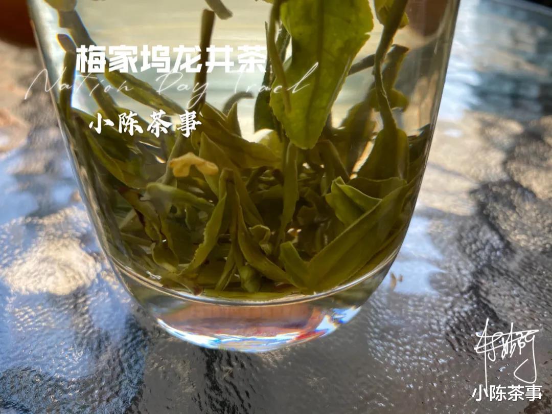 绿茶|今日霜降，白茶、绿茶、红茶、岩茶，谁更适合寒冷的秋冬季？