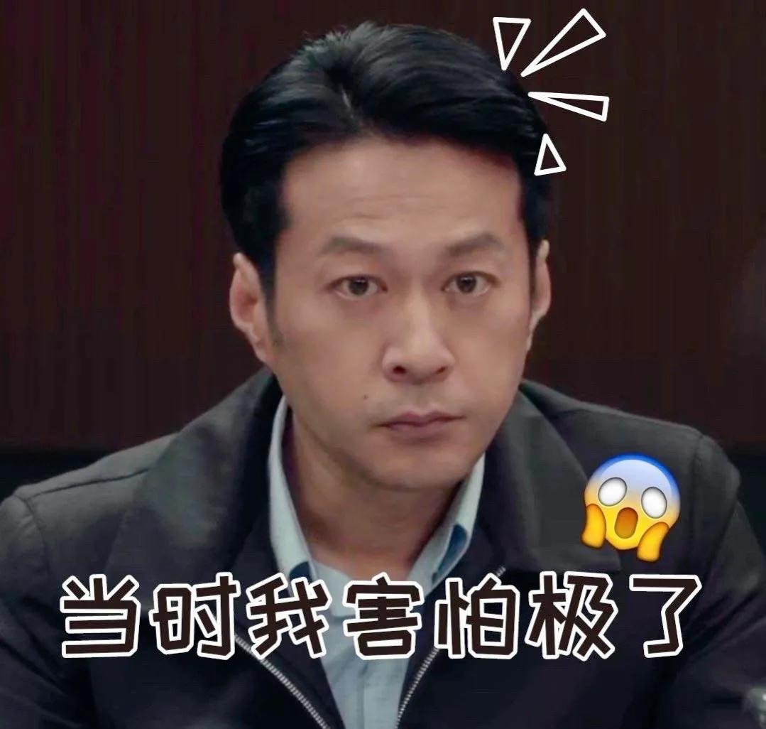 双探|段奕宏《双探》来袭，阵容不输《扫黑风暴》，“团长帮”再次合体