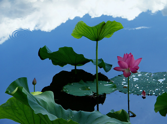 星临天下|9月上旬，4属相吉星庇佑，桃花不请自来，财源滚滚，心想事成