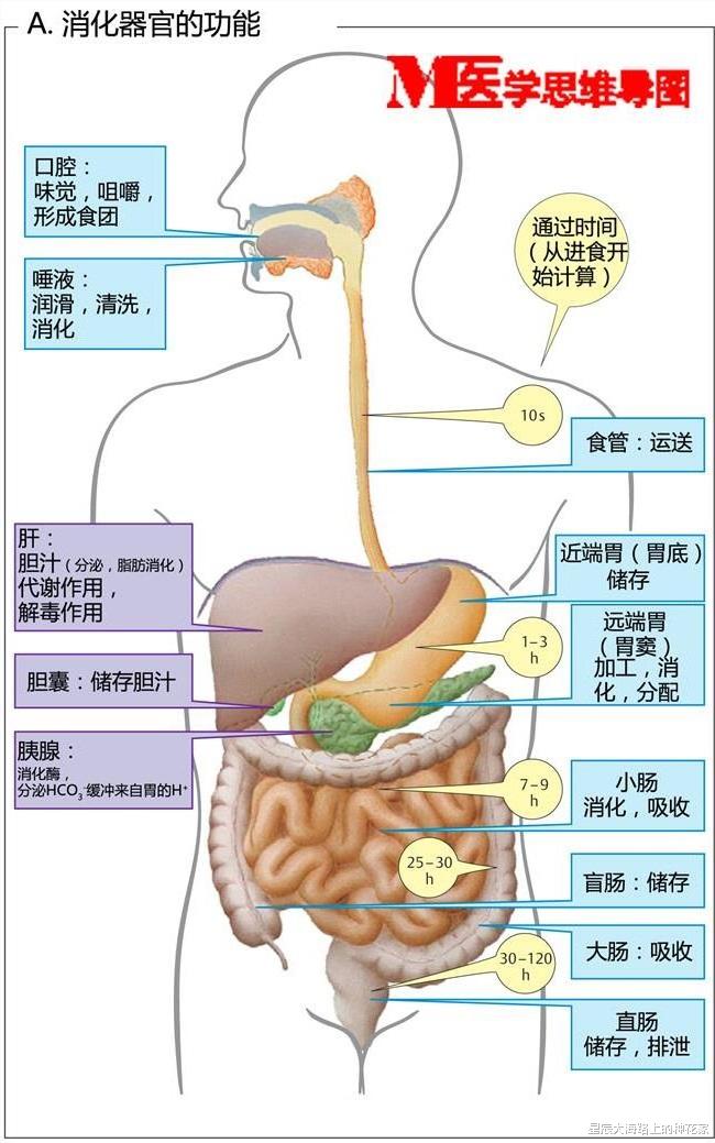 空间站|晚宴上拜登憋不住的长屁！却要宇航员在空间站不放屁，究竟为何？