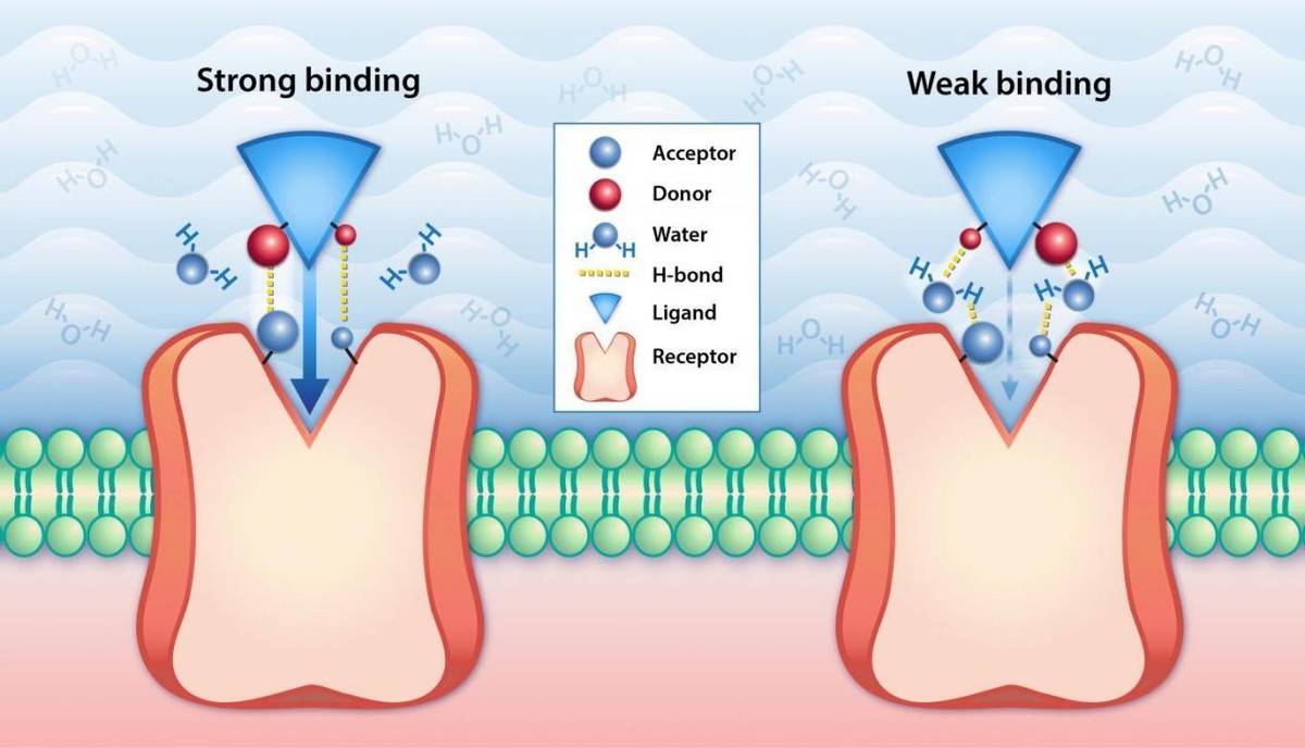 蛋白质 曙光初现,科学家发现蛇毒可抑制新冠病毒复制。以毒攻毒,这是什么原理?
