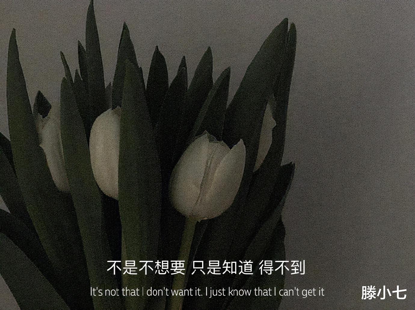 滕小七 “不过逢场作戏饰演一个过客，千万别当真伤了自己”