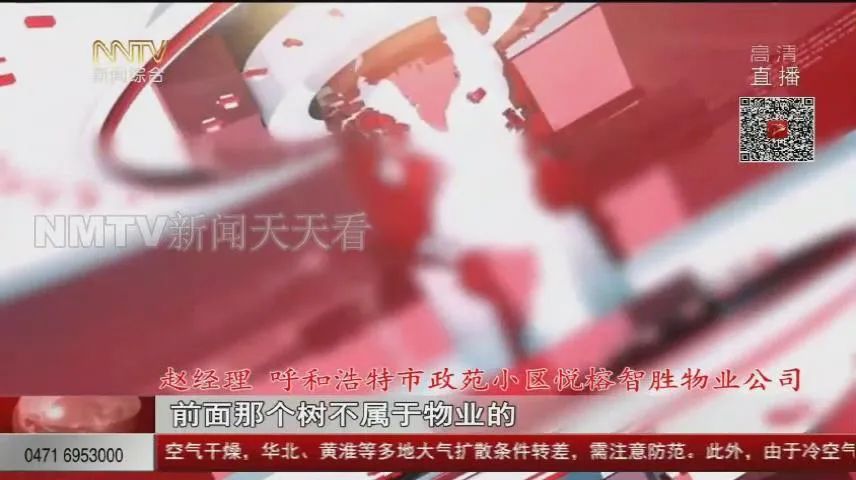 呼和浩特这十几棵大树该“理发”了!遮挡阳光 低层住户犯愁...