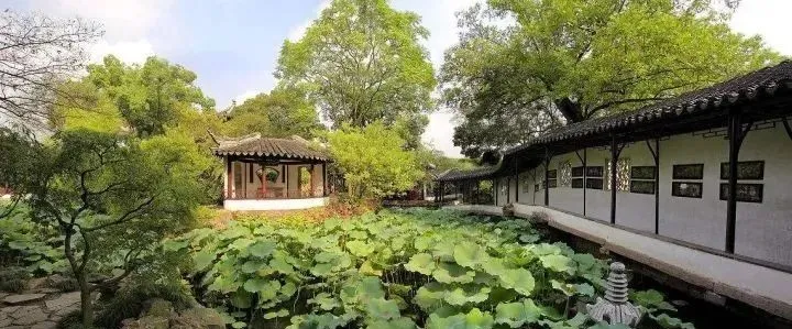 碧桂园|中国人的庭院 ，美到骨子里去：五千年东方智慧，蕴藏于一方庭院