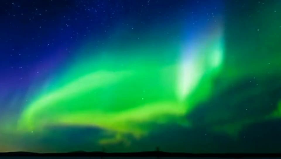 千年小树讲健康|中医精华中的精华22