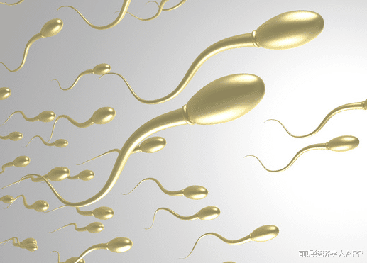 后代 日本科学家利用多能干细胞制造精子，让小鼠成功产下后代