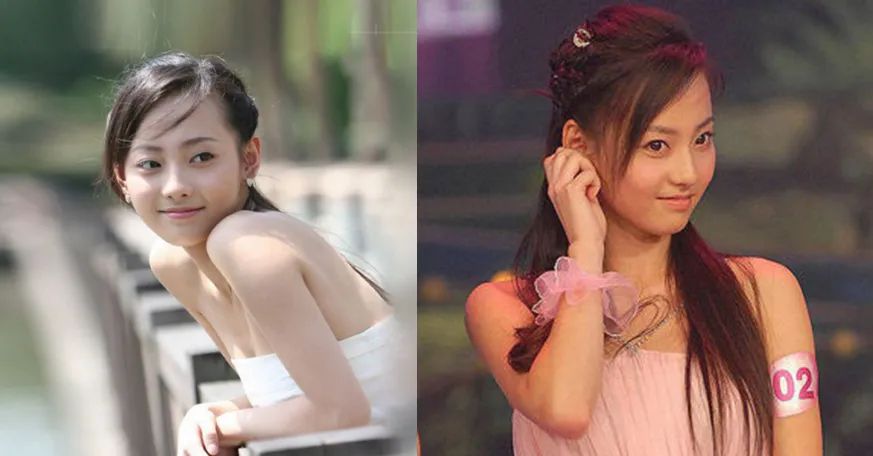 张嘉倪|“蛇蝎阔太”张嘉倪的上位之谜