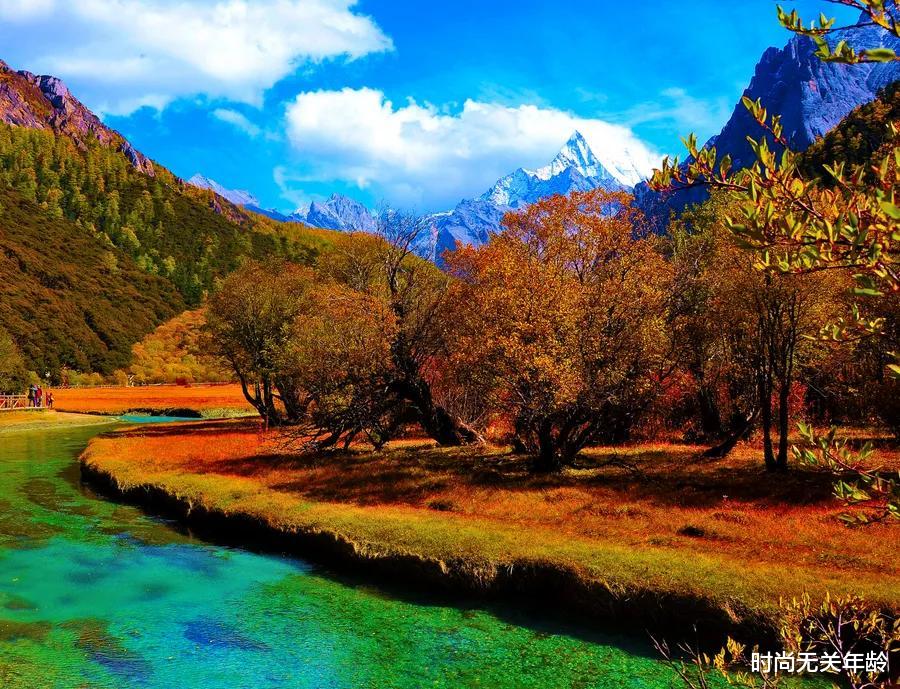 时尚无关年龄 优雅的女人,秋天一定不能错过高级又有氛围感的大地色穿搭!