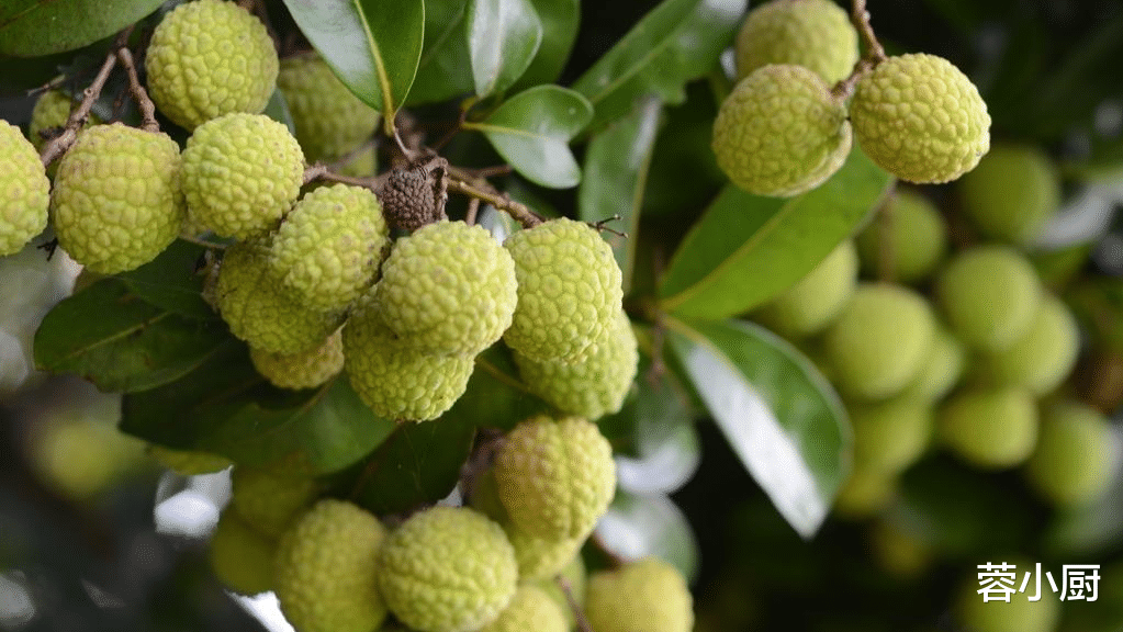 蓉小厨 选荔枝可别只挑红的了,老果农教我7招,一挑一个准,不花冤枉钱