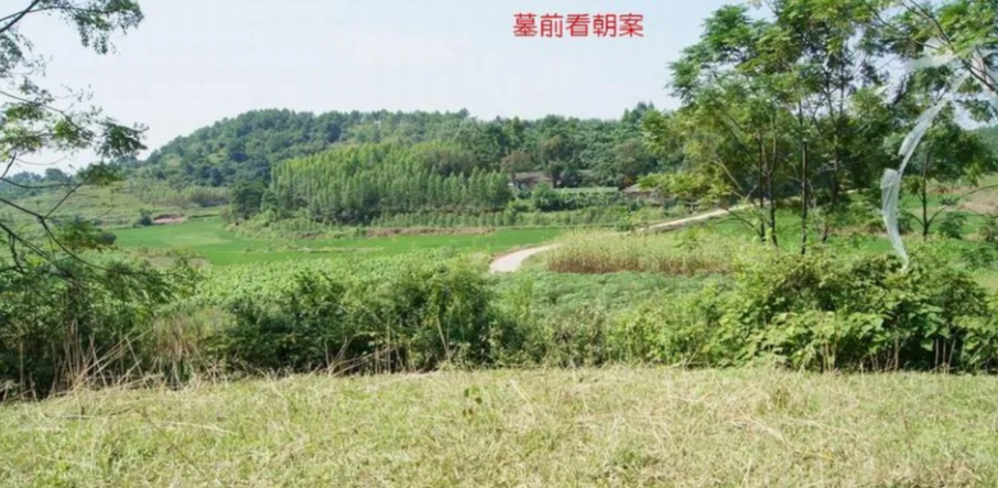 玄风八字运势 明师案例：奇特的作法，后人贵至师级