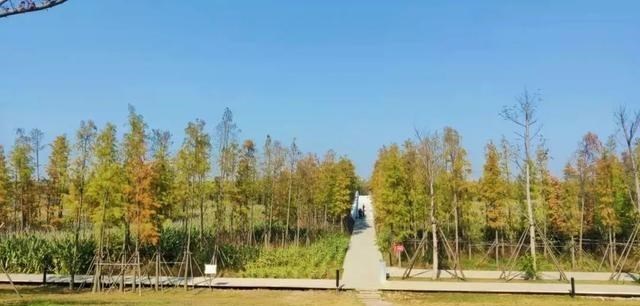 溪湖|三条地铁！这个板块房价坚挺，到底是什么在支撑？
