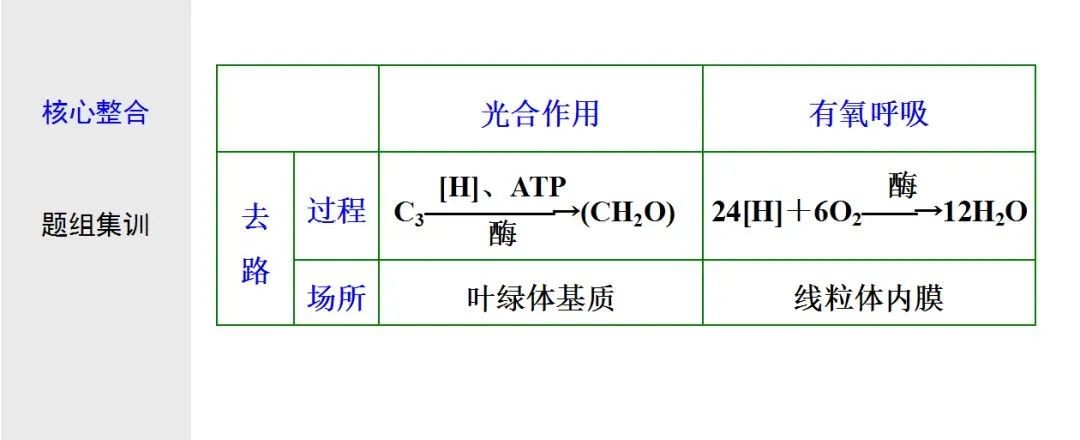 初中生物：光合作用与细胞呼吸知识点详解，快保存！