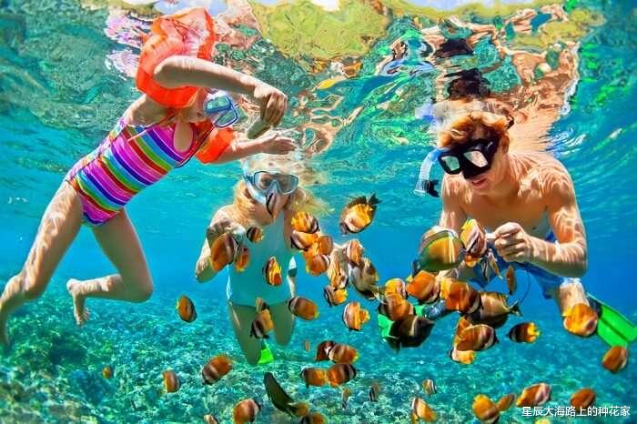 海蛇 “爱你才会咬你一口”!科学家称:海蛇咬人是因为它“看”上你了