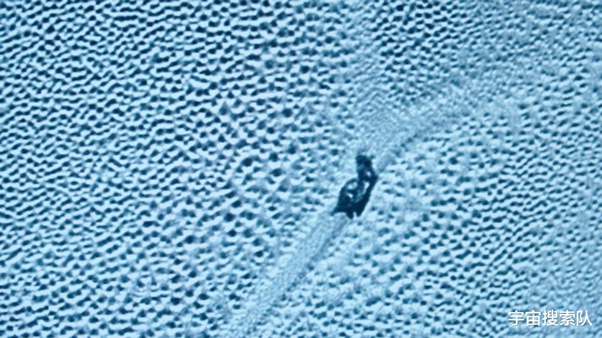 宇宙搜索队|地球不是孤独的？NASA探测器发现疑似外星球“生物”