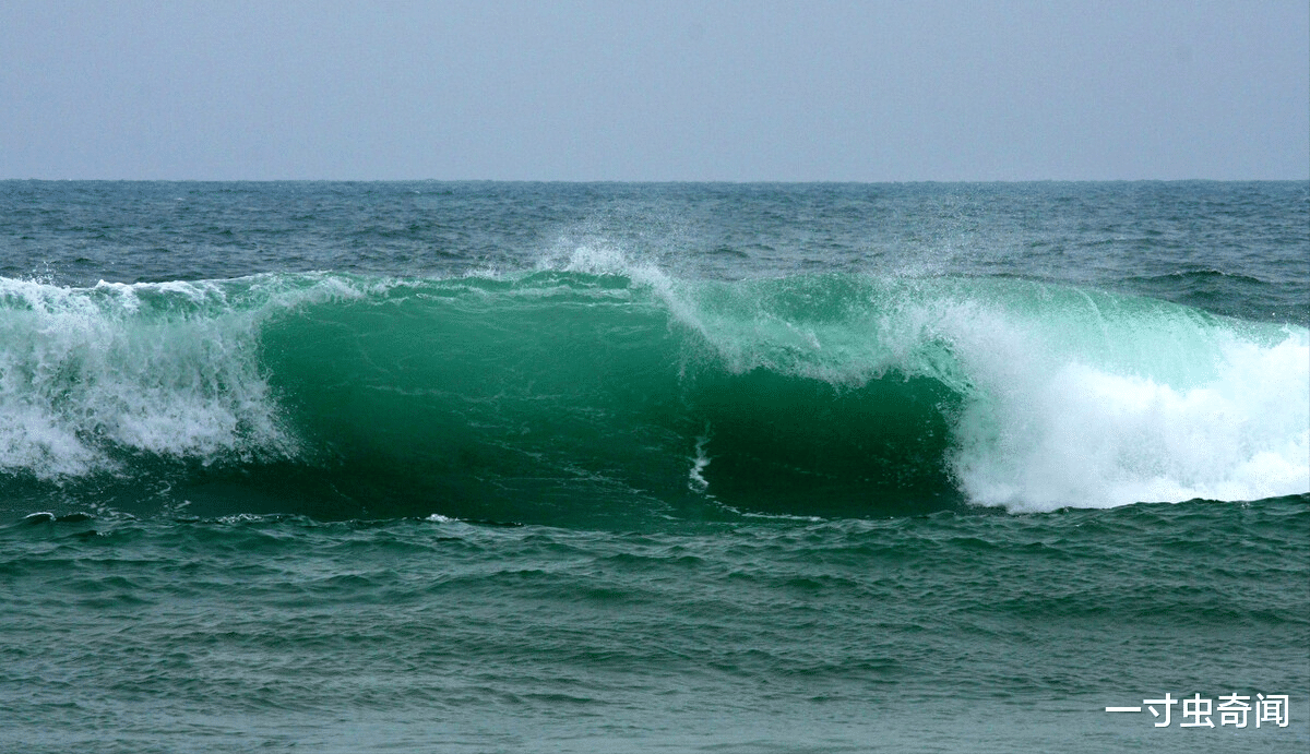 一寸虫奇闻|福建17人落水11人死亡,平静海面暗藏杀机?罪魁祸首或为离岸流
