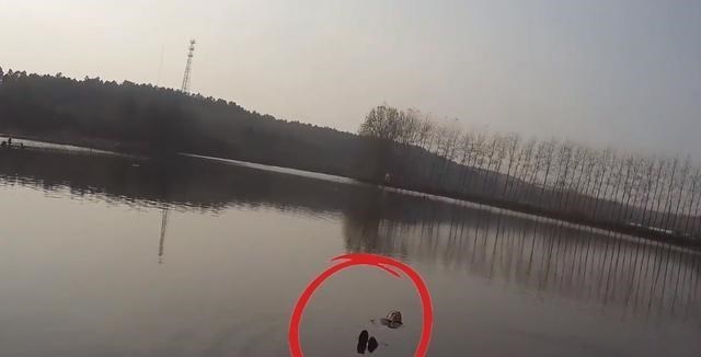 安徽滁州:大妈落水淡定漂浮水面等候救援!遇事不慌才是硬道理!