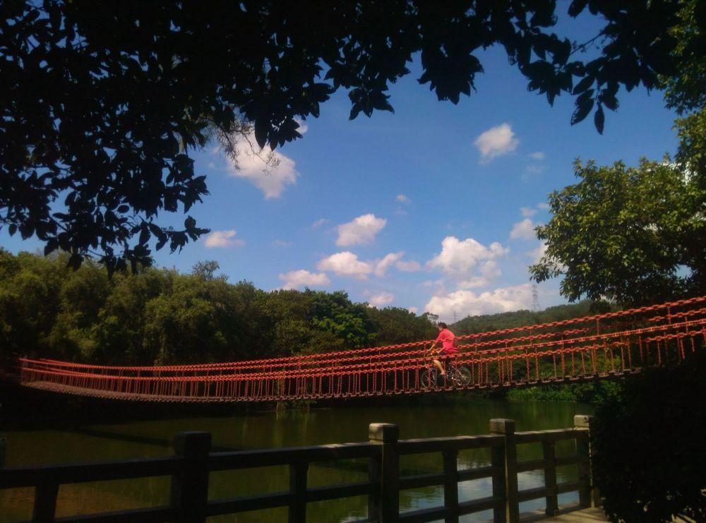 东湖公园|一定要打卡的公园,集观赏、休闲、游乐、运动于一身——东湖公园