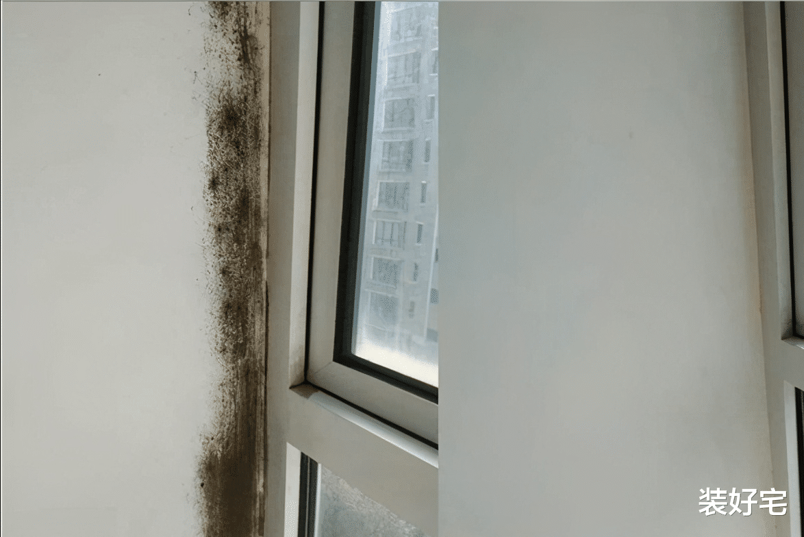 |日本人的房间只能放一张床,家里却异常干净,全在这7个细节